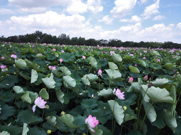 201709302.jpg 201709302.jpg